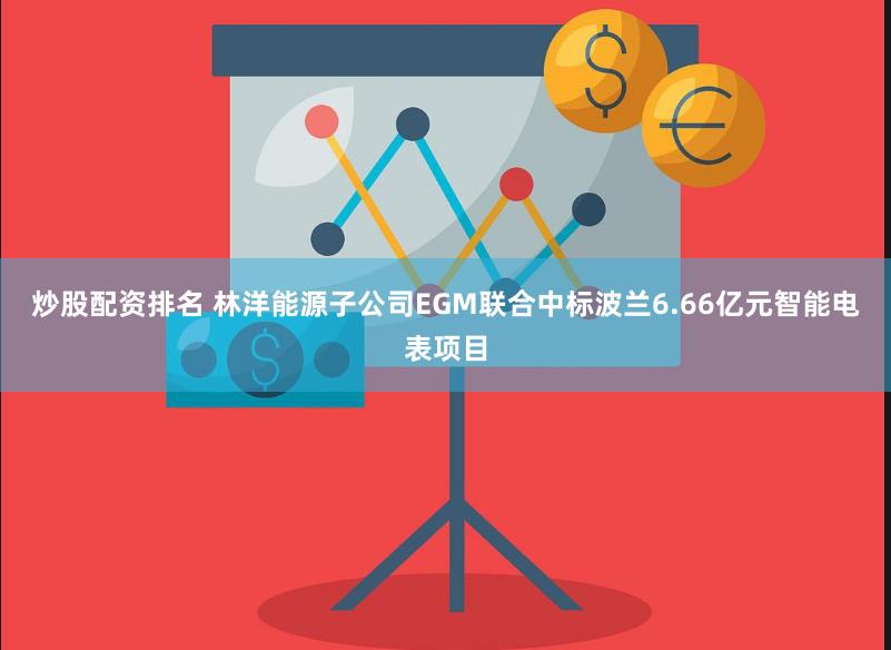 炒股配资排名 林洋能源子公司EGM联合中标波兰6.66亿元智能电表项目