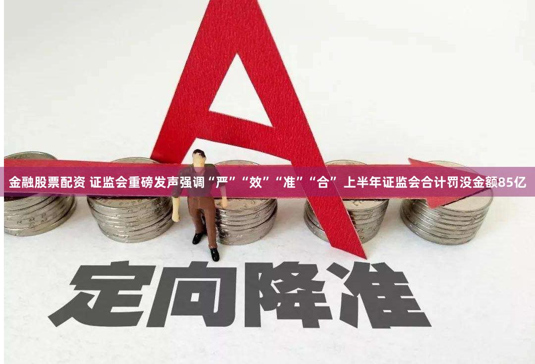 金融股票配资 证监会重磅发声强调“严”“效”“准”“合” 上半年证监会合计罚没金额85亿